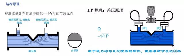 1716772428187958.jpg yy72.jpg